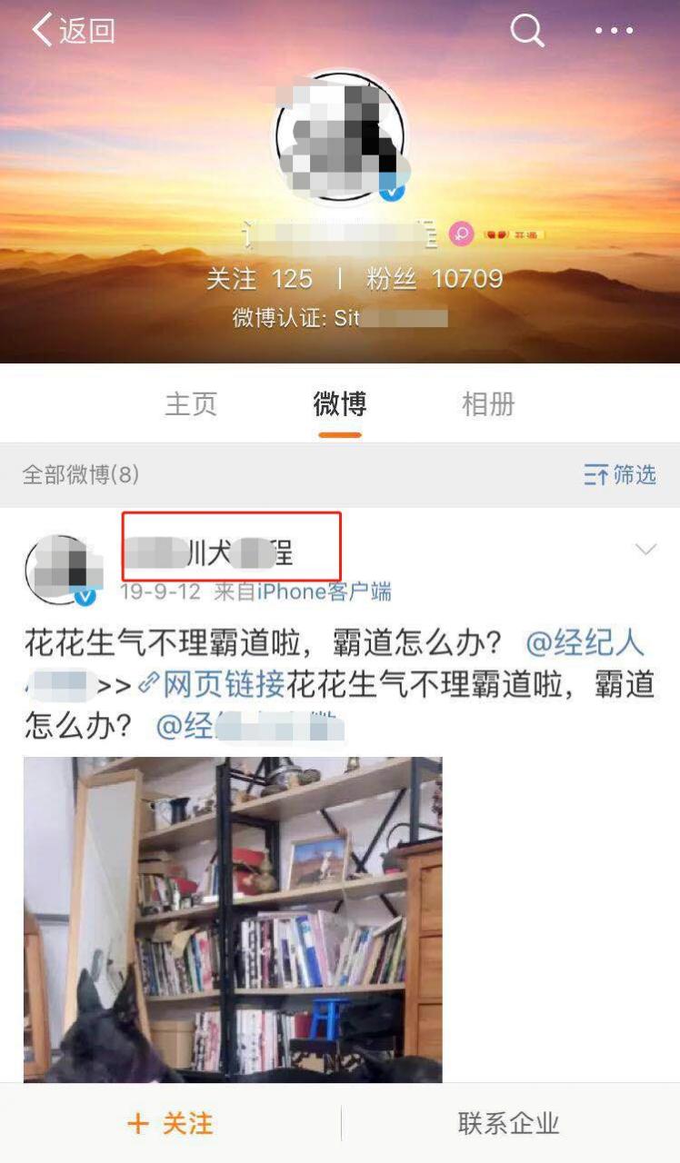 出售训狗教程也能赚钱，该如何入手？