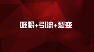 微商怎么引流推广？微商怎么引流推广精准粉被加？