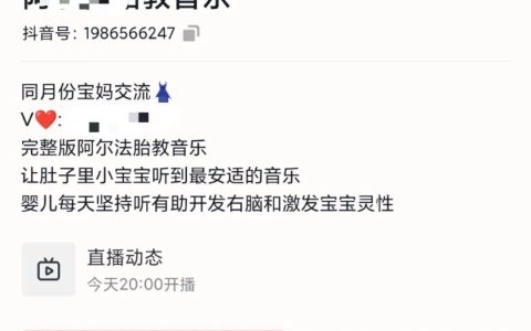 0成本上手就赚钱，搬运上传信息差胎教早教小项目【附项目详细资料】