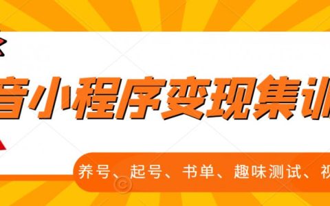 抖音小程序变现集训课，养号、起号、书单、趣味测试、视频剪辑，全套流程